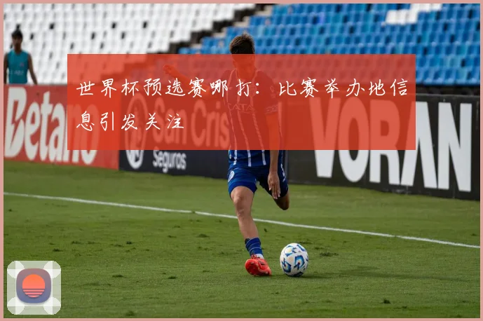 世界杯预选赛哪打：比赛举办地信息引发关注