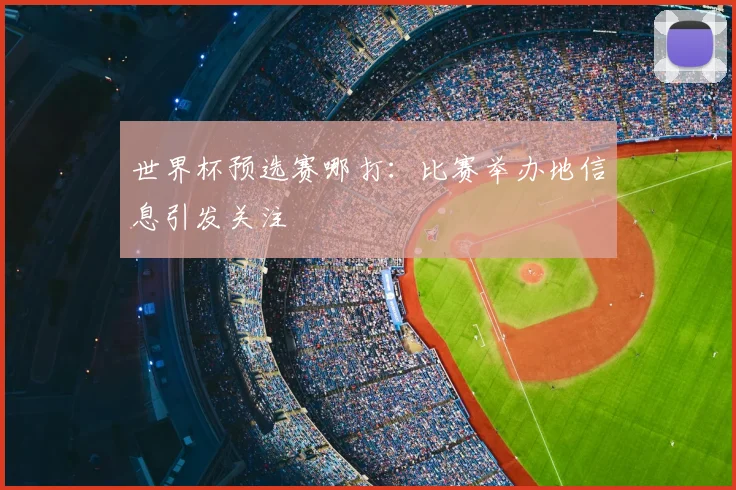 世界杯预选赛哪打：比赛举办地信息引发关注