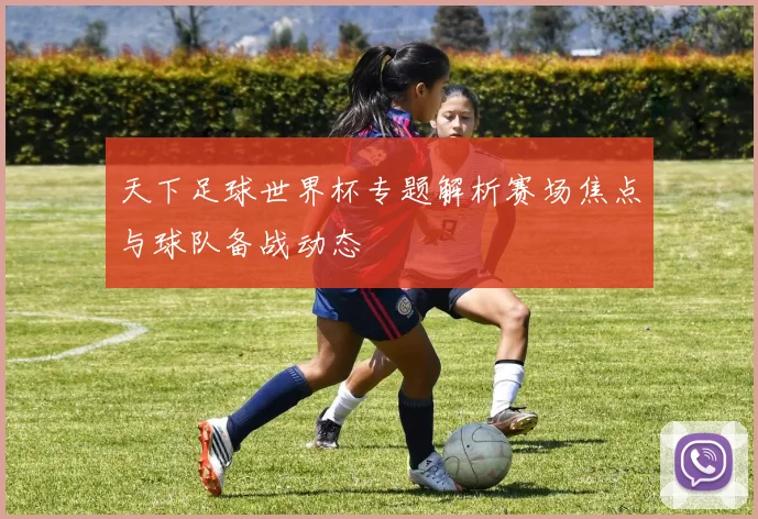 天下足球世界杯专题解析赛场焦点与球队备战动态