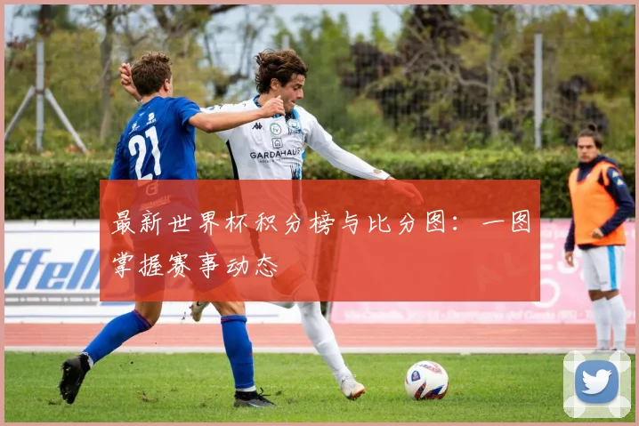 最新世界杯积分榜与比分图：一图掌握赛事动态