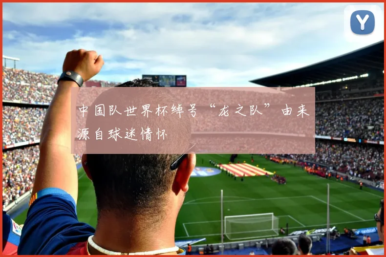 中国队世界杯绰号“龙之队”由来源自球迷情怀