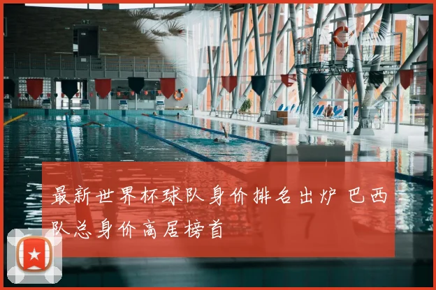 最新世界杯球队身价排名出炉 巴西队总身价高居榜首