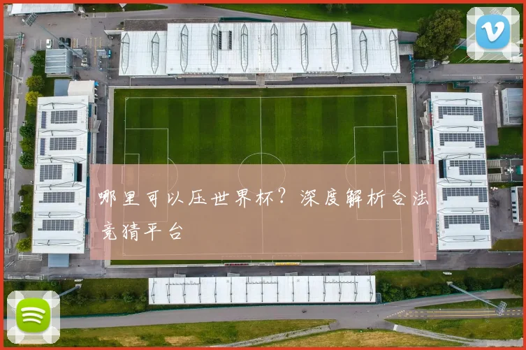 哪里可以压世界杯？深度解析合法竞猜平台